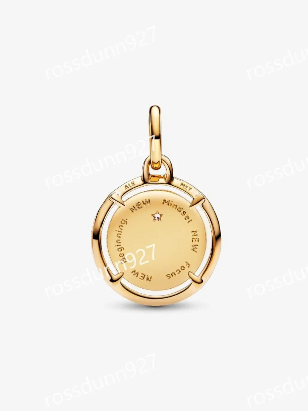 Pandora Scarab Beetle Medallion Charm